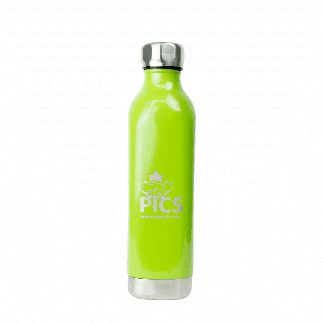 Stainless Steel Water Bottle